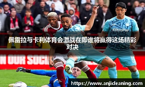 半岛bob·官方网站